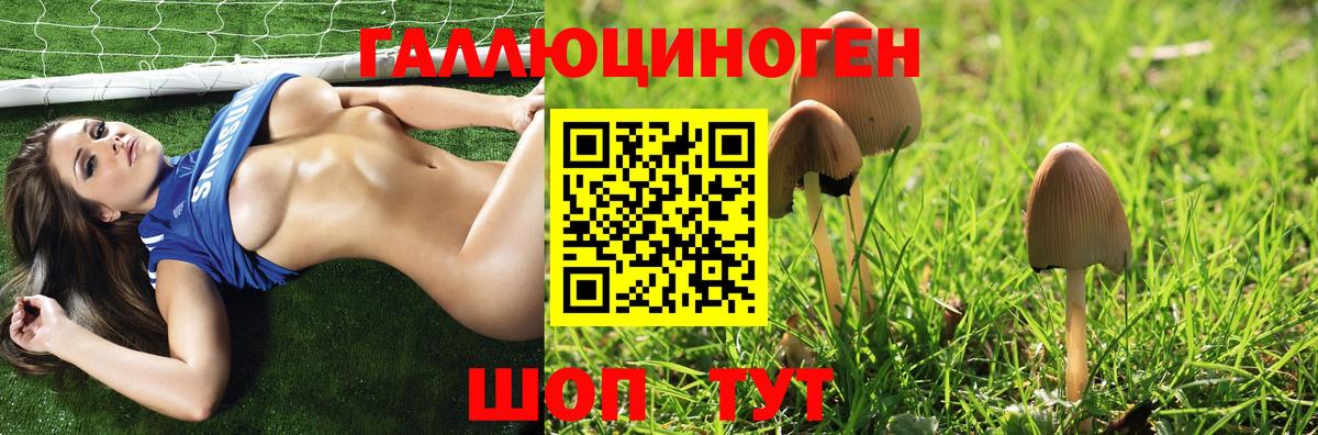купить наркотики сайты  Псилоцибиновые грибы мухоморы  Вход с VPN  Чебоксары 